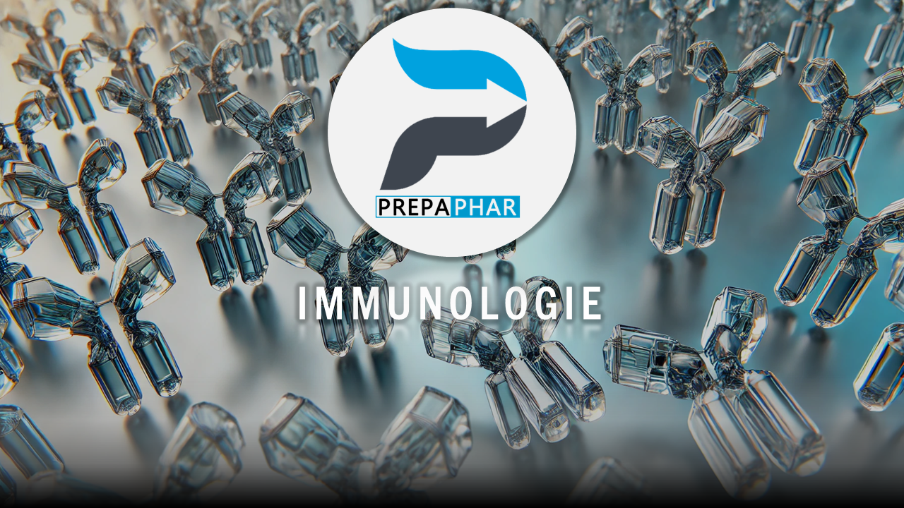 internat pharmacie