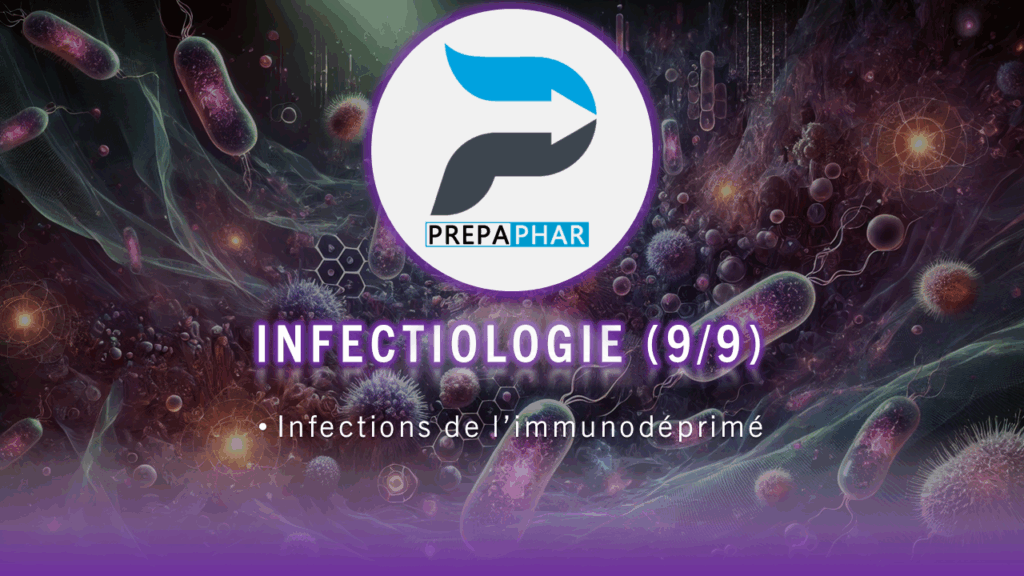 internat pharmacie