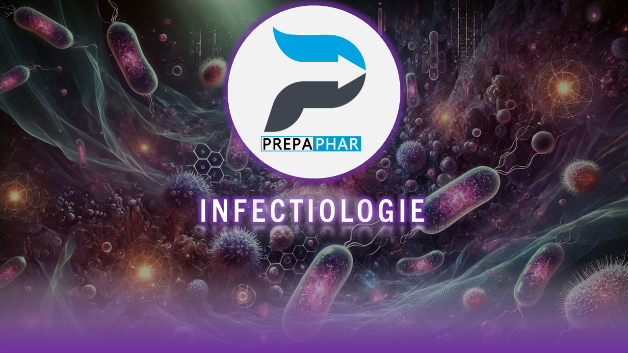 internat pharmacie