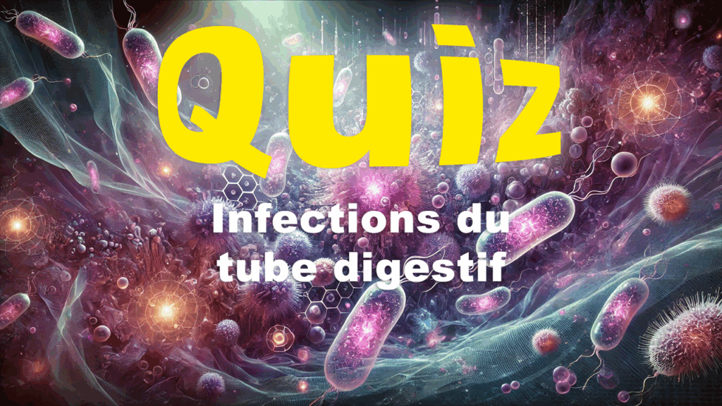 internat pharmacie
