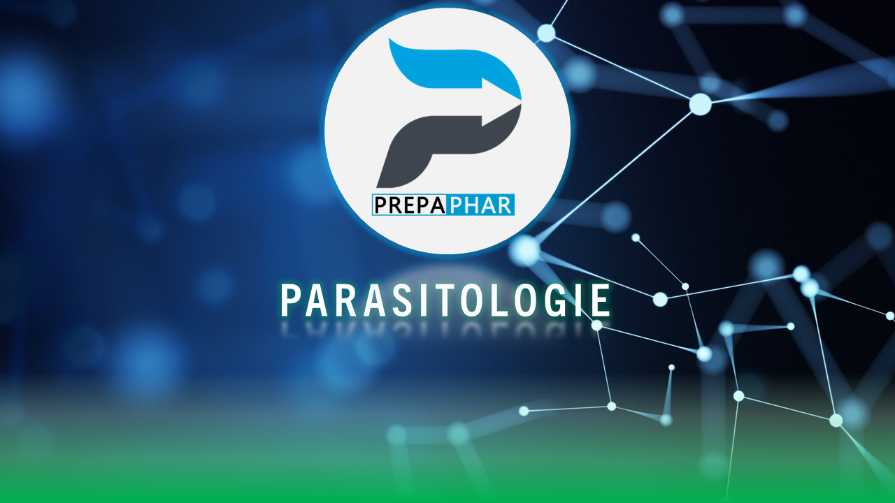 internat pharmacie